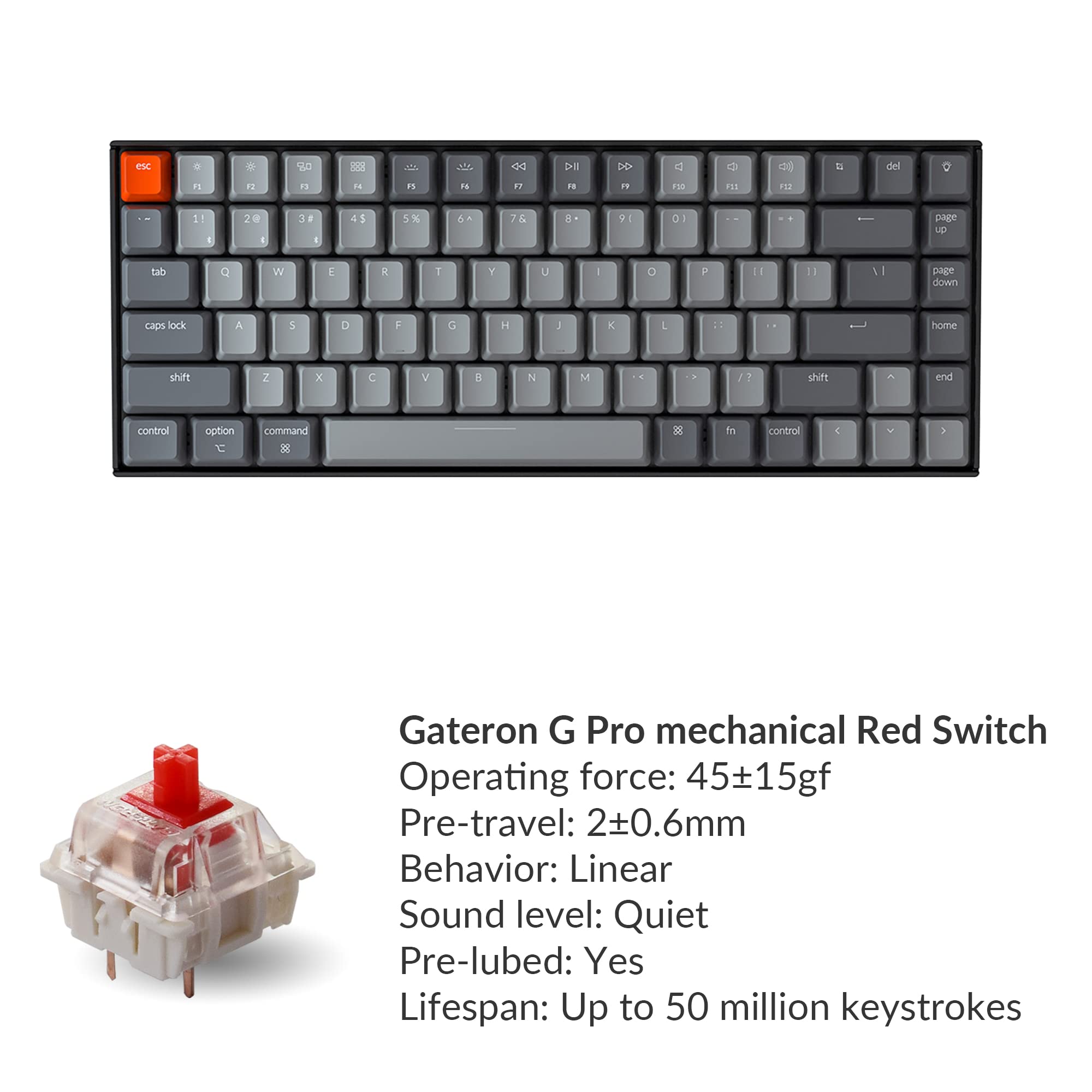 Keychron K2 V2 75% Compact Bluetooth Mechanical Keyboard - Gateron G Pro Red Switch, White LED Backlit, Anti-Ghosting, N-Key Rollover for Mac & Windows | Perfect for Office, Gaming & Programming (84-Key USB-C Wired/Wireless)