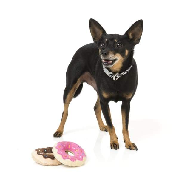 Fuzzyard Donuts Plush Dog Toy Set - 2 Pack Soft Chew Toys for Small & Medium Dogs - Perfect for Playtime, Training Rewards & Cuddling