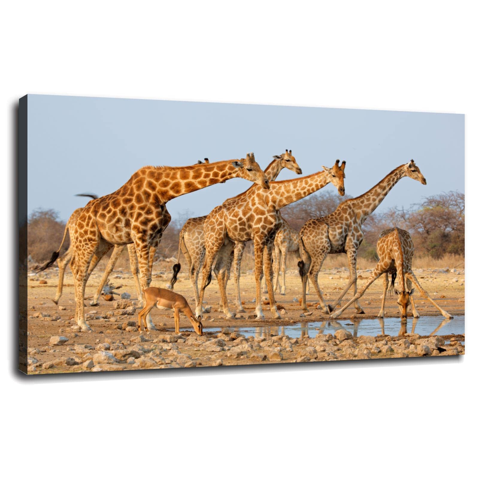 20x12 Framed Giraffe Canvas Wall Art - Animal Print Poster for Home & Office Decor | Perfect for Living Room, Bedroom, Nursery