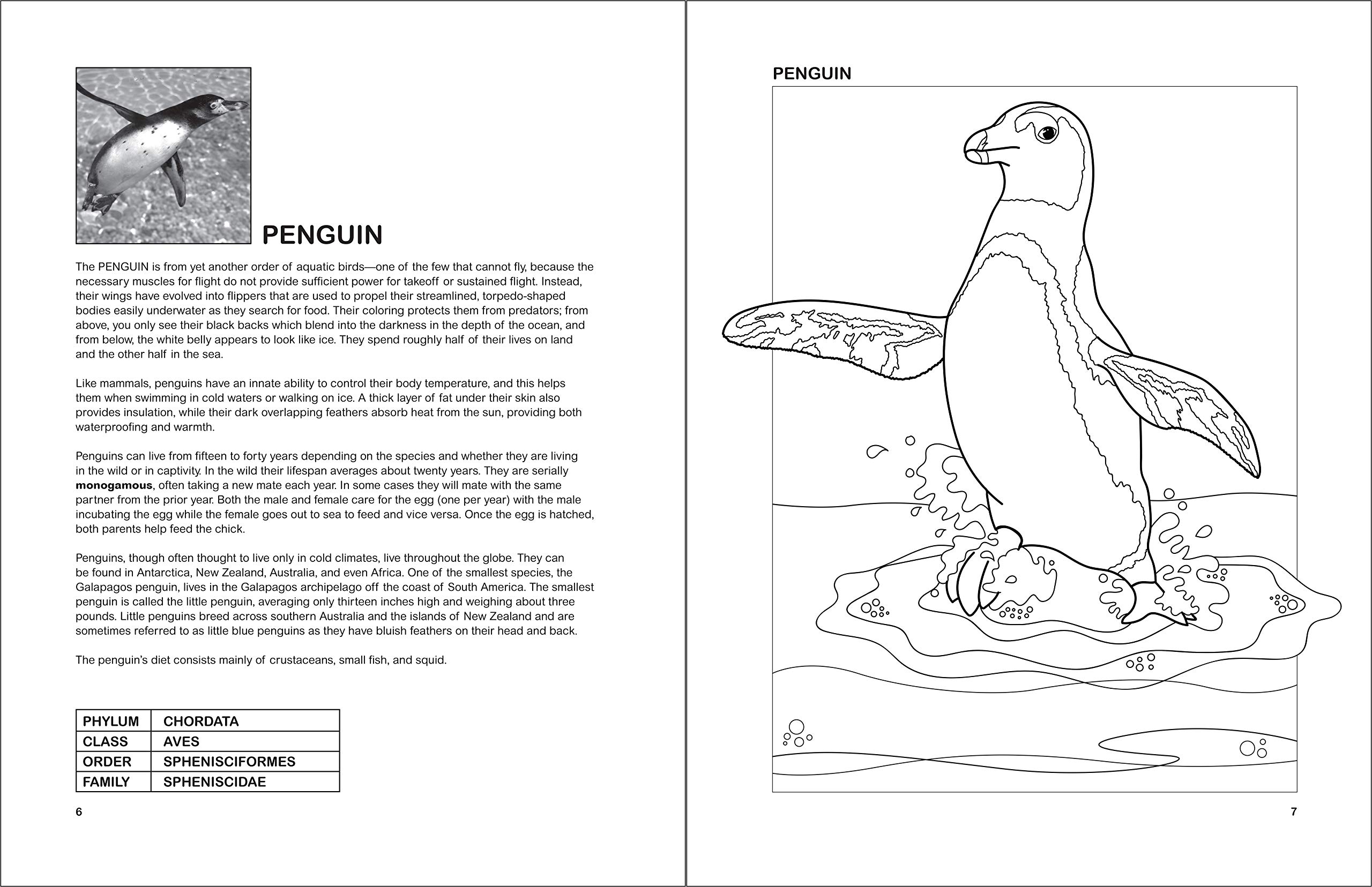 The Aquatic Birds Coloring Book for Adults & Kids - Relaxing Bird Coloring Pages with Beautiful Waterfowl Designs | Perfect for Stress Relief, Art Therapy & Nature Lovers