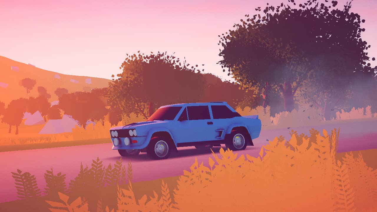 Art of Rally - Nintendo Switch Racing Game - Experience Thrilling Drift & Rally Racing for Solo or Multiplayer Fun at Home or On-the-Go