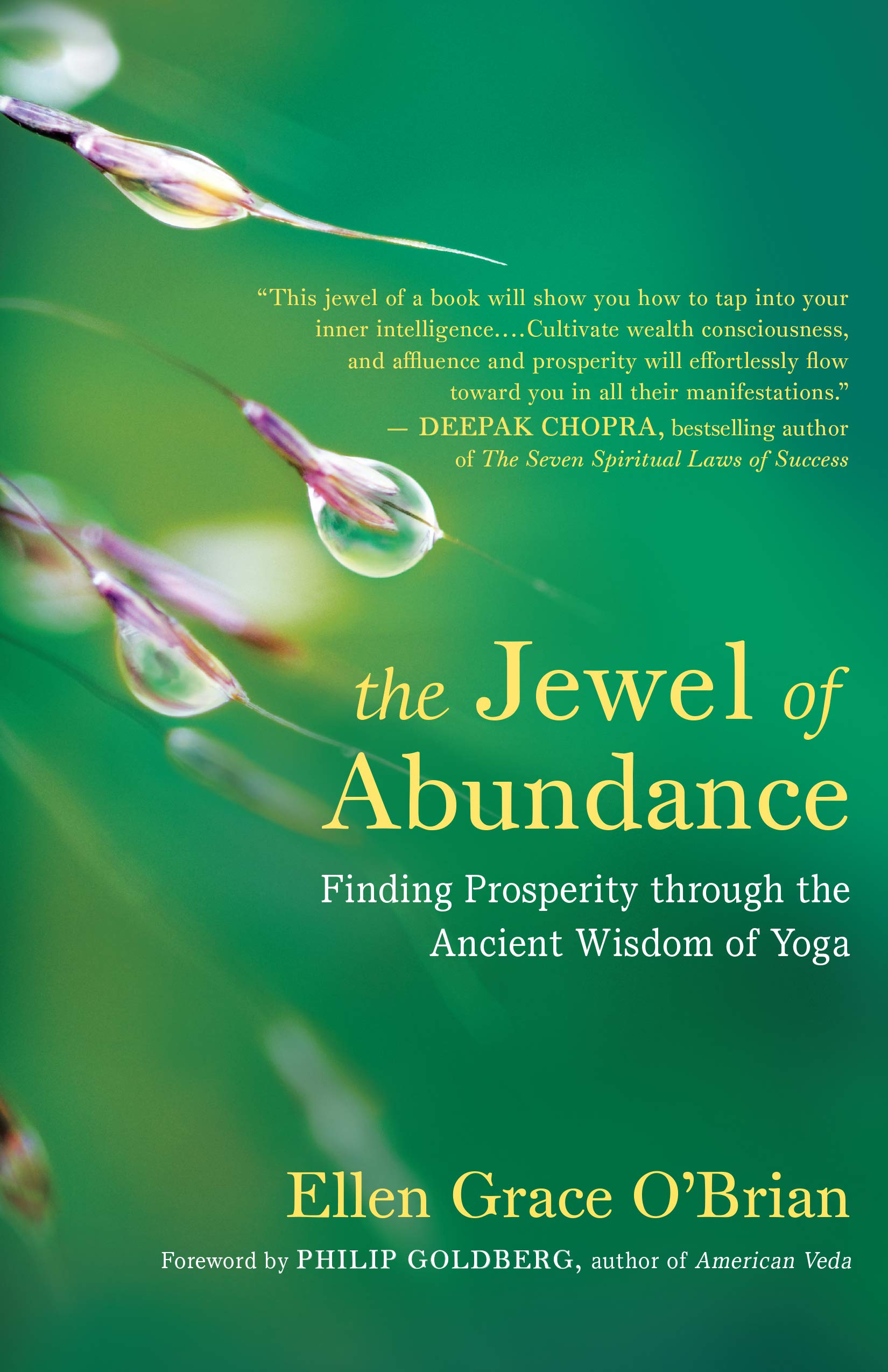 Jewel of Abundance Yoga Book - Ancient Wisdom for Prosperity & Wealth | Spiritual Growth, Meditation Guide, Abundance Mindset | Perfect for Yoga Practitioners & Seekers of Financial Freedom