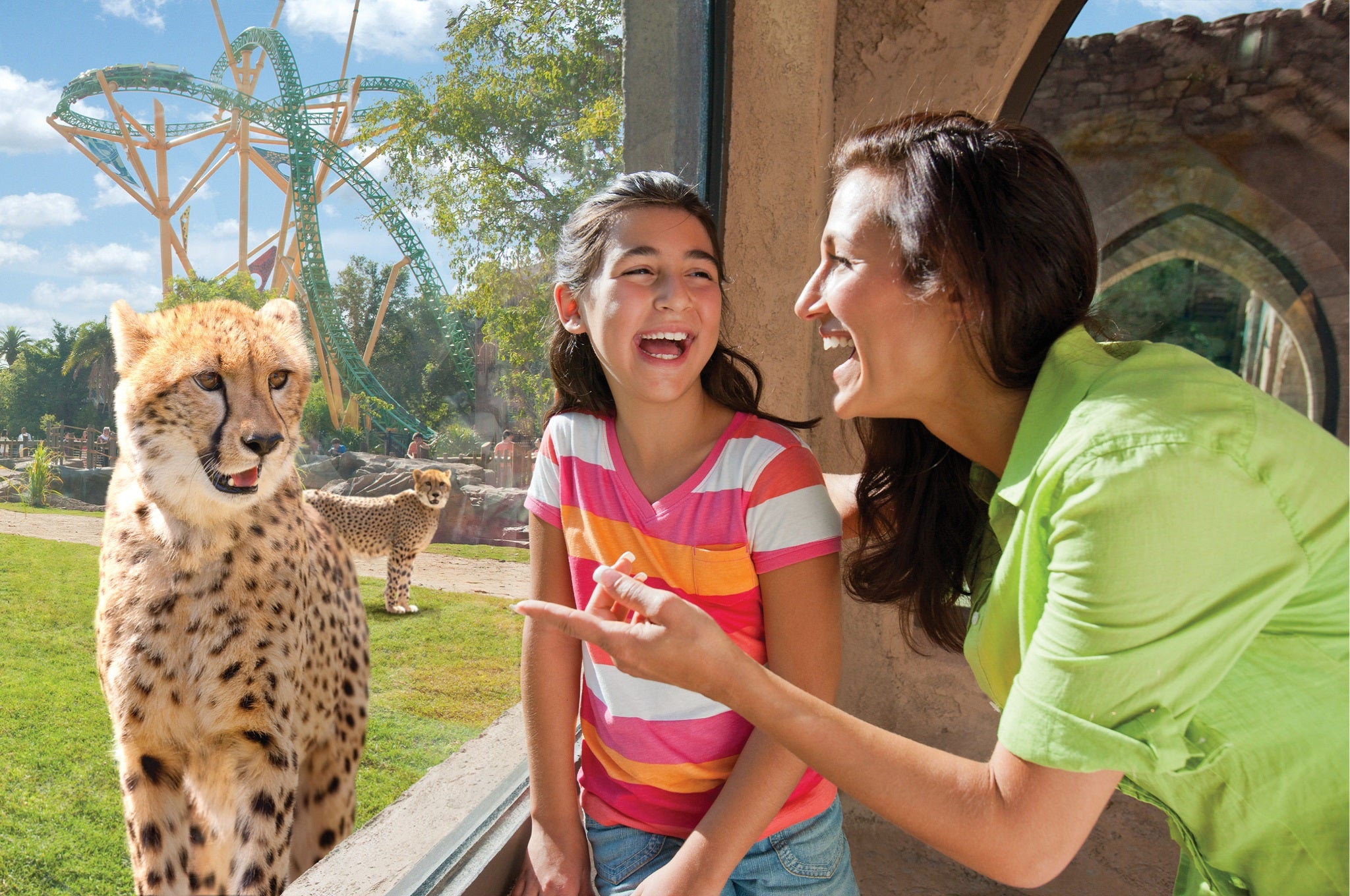 Busch Gardens Tampa Bay - Thrilling Theme Park Rides, Animal Encounters & Family Fun in Florida | Perfect for Vacations & Weekend Getaways