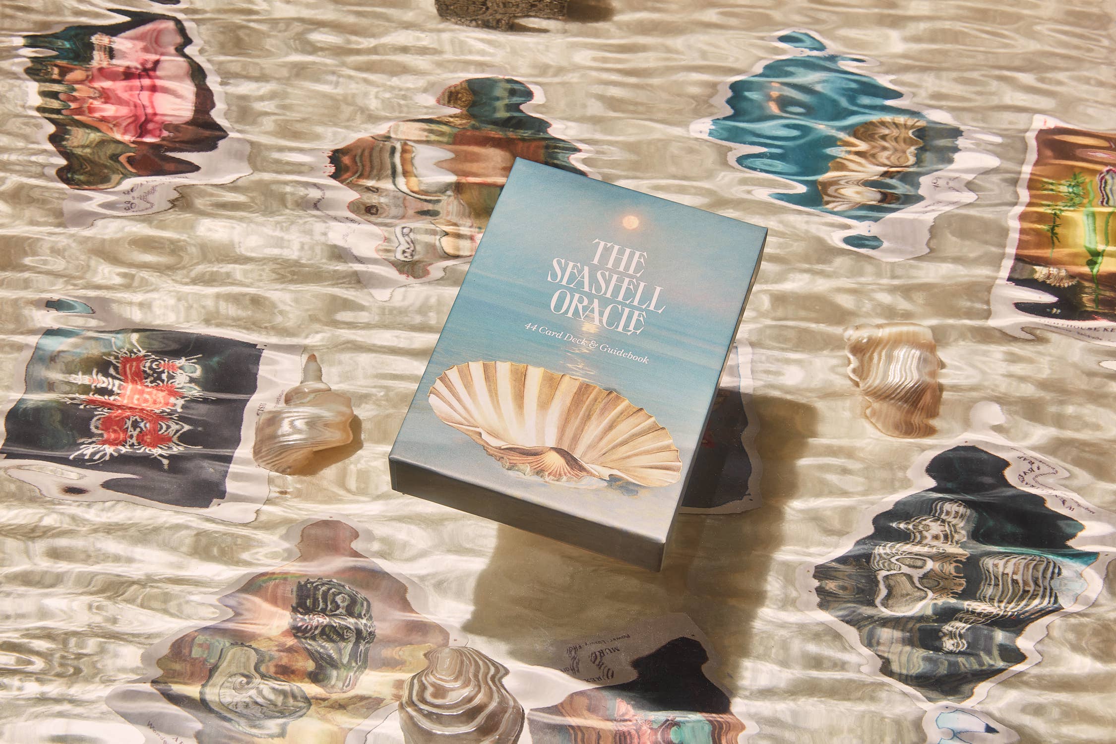 The Seashell Oracle Deck and Guidebook – 44-Card Divination Set with Spiritual Guidance – Perfect for Tarot Readings, Meditation, and Intuitive Healing