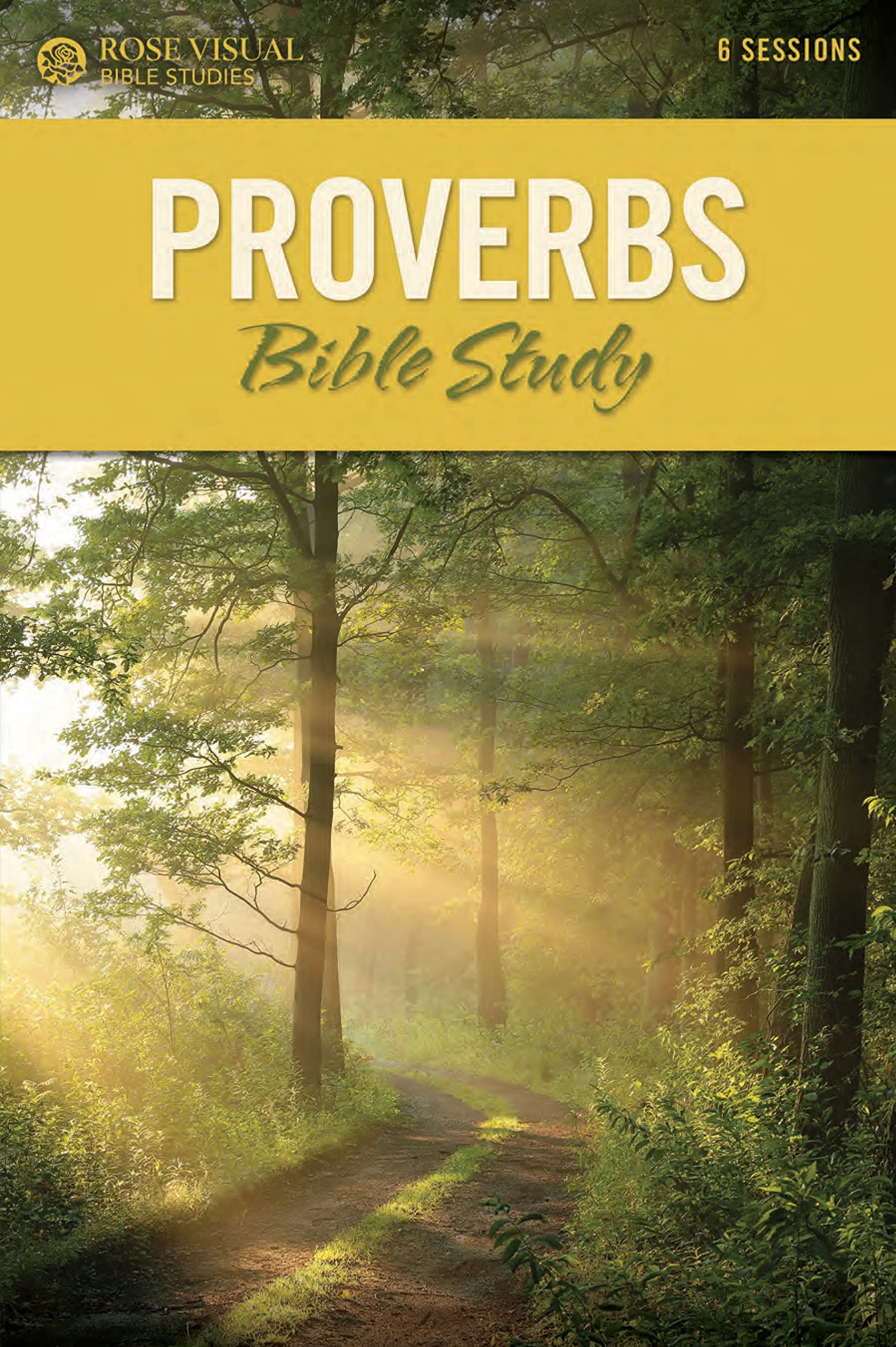 Proverbs Bible Study Book - Rose Visual Bible Study Series for Christian Devotion & Scripture Learning | Perfect for Small Groups, Personal Reflection & Church Teaching