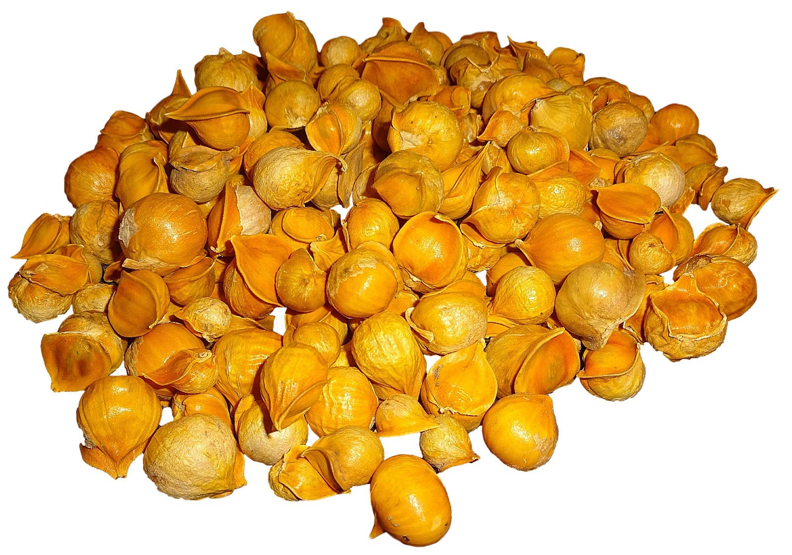 Premium Japanese Garlic (100% Natural) - Fresh, Flavorful & Aromatic - Choose Your Size (1 Lb, 5 Lbs, or 10 Lbs) - Perfect for Cooking, Seasoning & Asian Cuisine