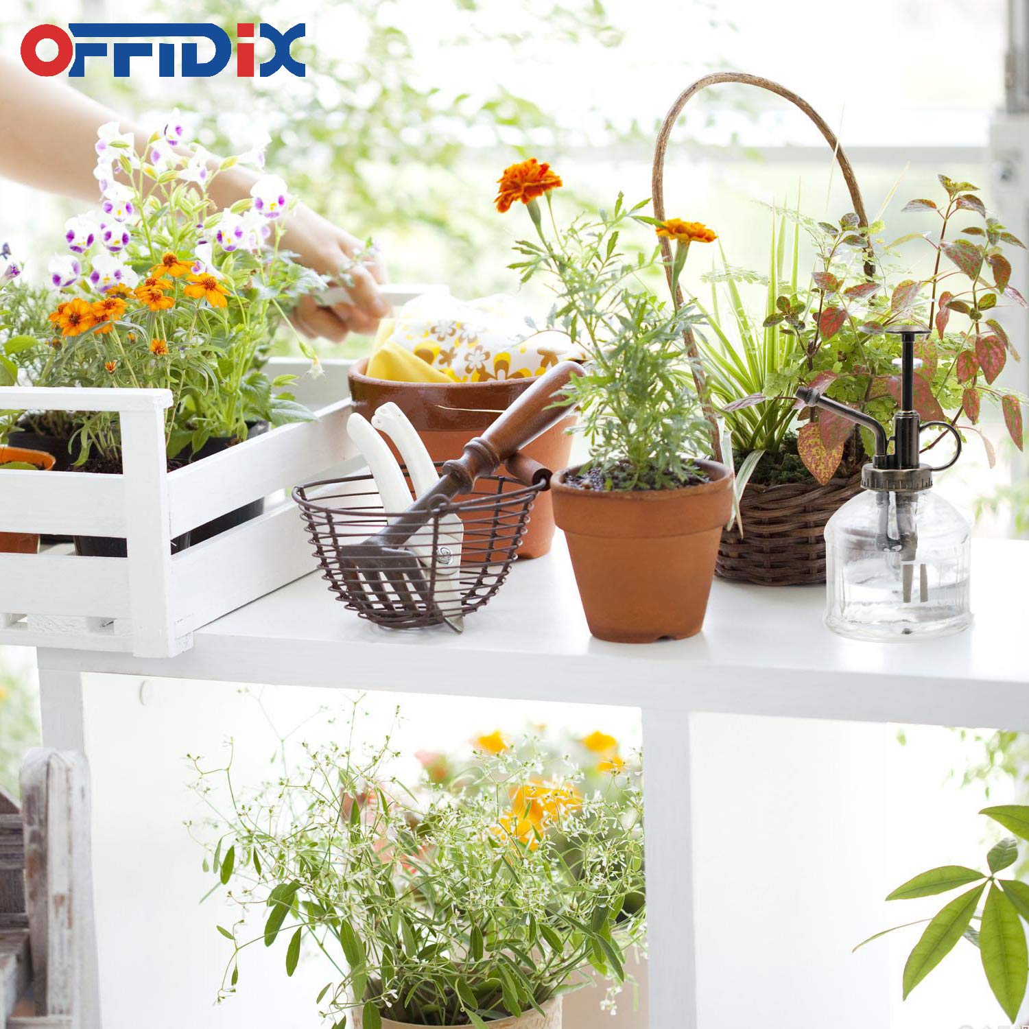 OFFIDIX Clear Glass Plant Mister Bottle with Bronze Plastic Pump - 16oz Water Sprayer for Indoor Plants, Outdoor Gardening, Cleaning Solutions | Perfect for Succulents, Herbs, and Household Cleaning