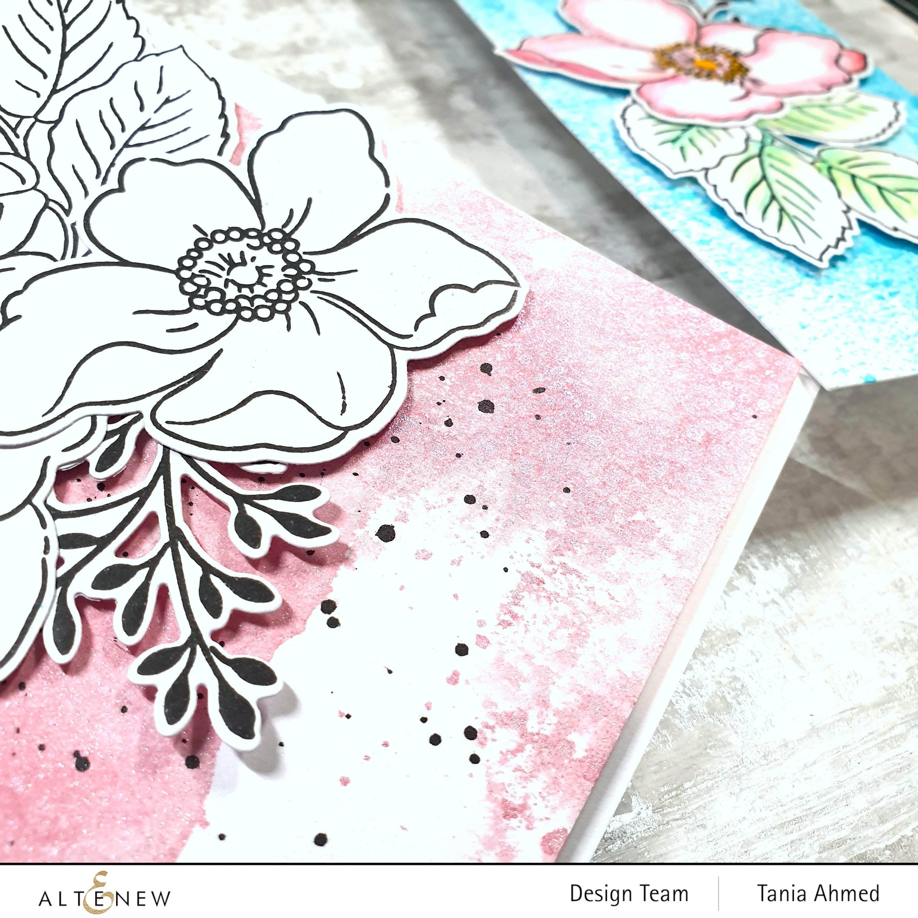 Beauty Within Layering Stencil Set - 3-in-1 Makeup Stencils for Perfect Eyebrows, Contouring & Eyeliner | Ideal for Professional Makeup Artists & DIY Beauty Enthusiasts