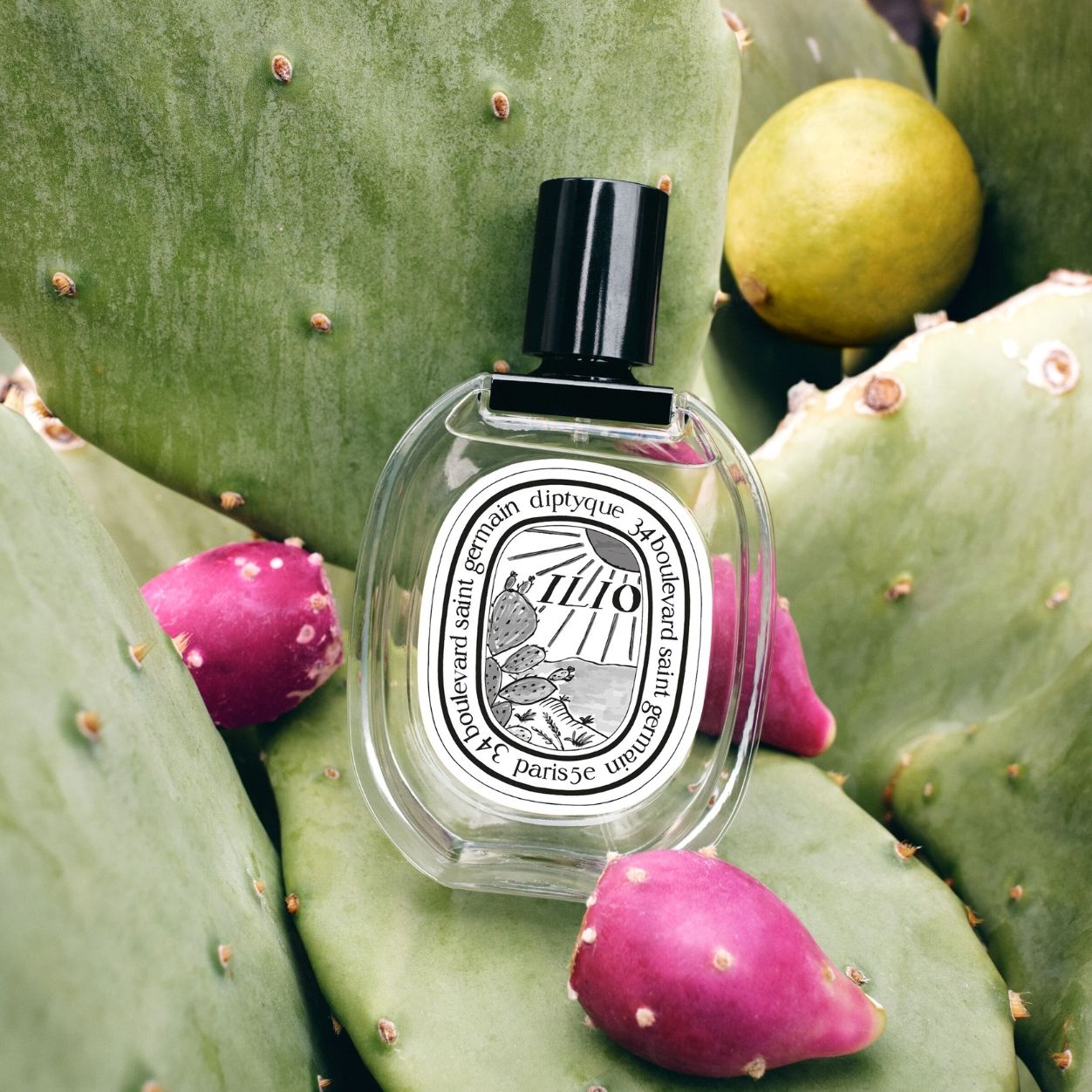 Ilio Eau De Toilette for Women - Fresh Floral Perfume Spray | Perfect for Daily Wear, Office & Date Night