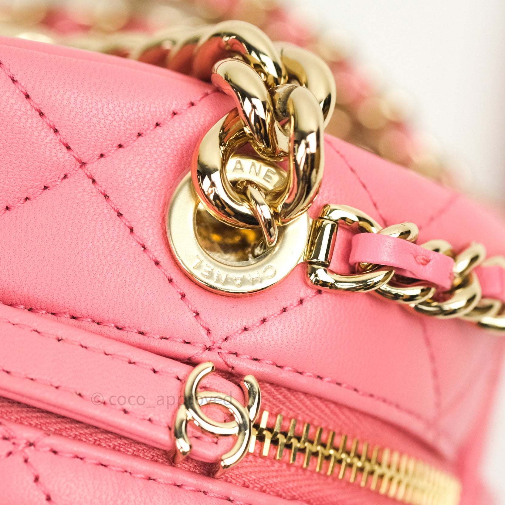 Chanel Quilted Camera Bag in Pink Lambskin with Gold Hardware - Luxury Crossbody Purse for Women, Perfect for Date Night & Special Occasions