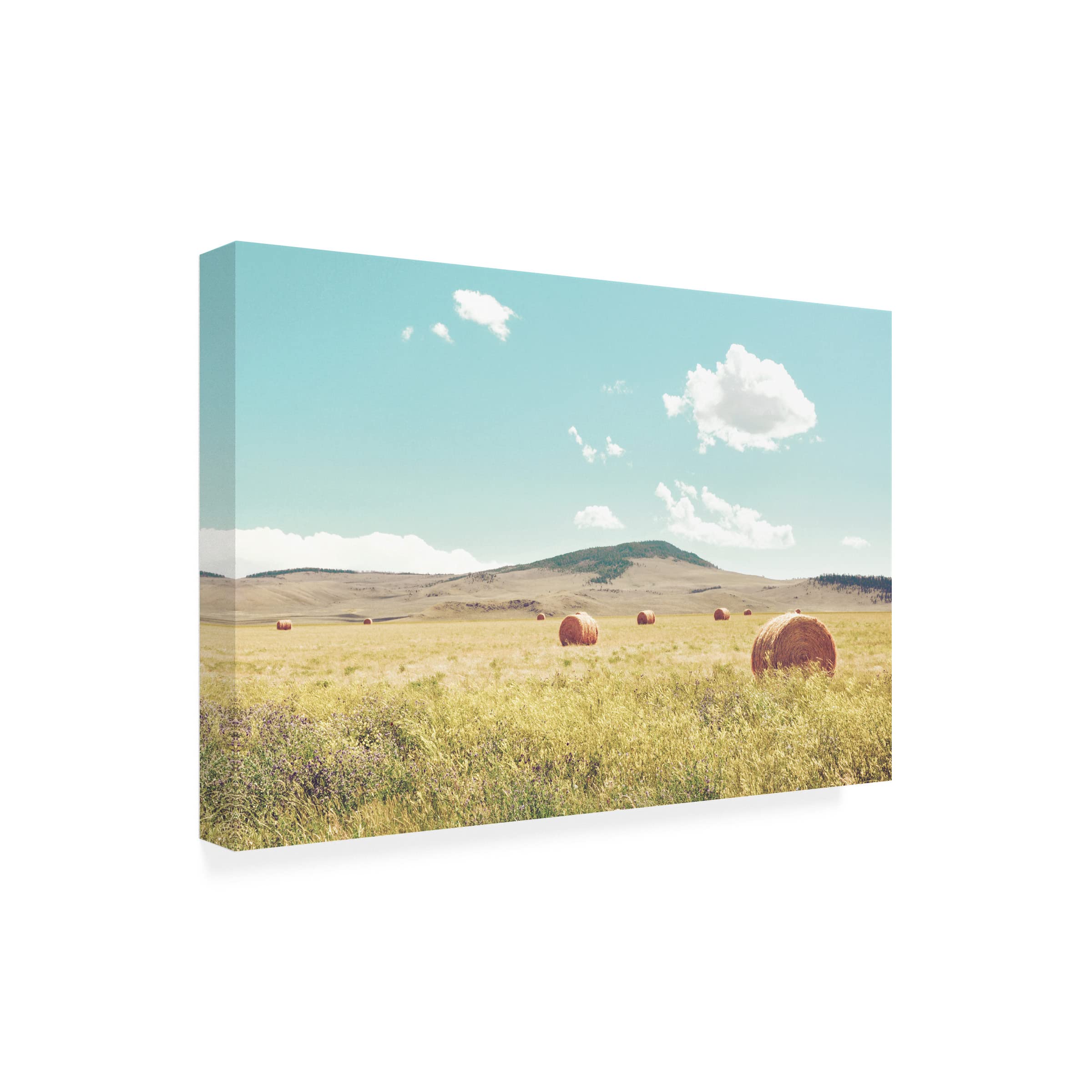 Annie Bailey Art 'A Day In The Fields' Canvas Wall Art Print - Farmhouse Landscape Painting for Living Room, Bedroom & Office Decor