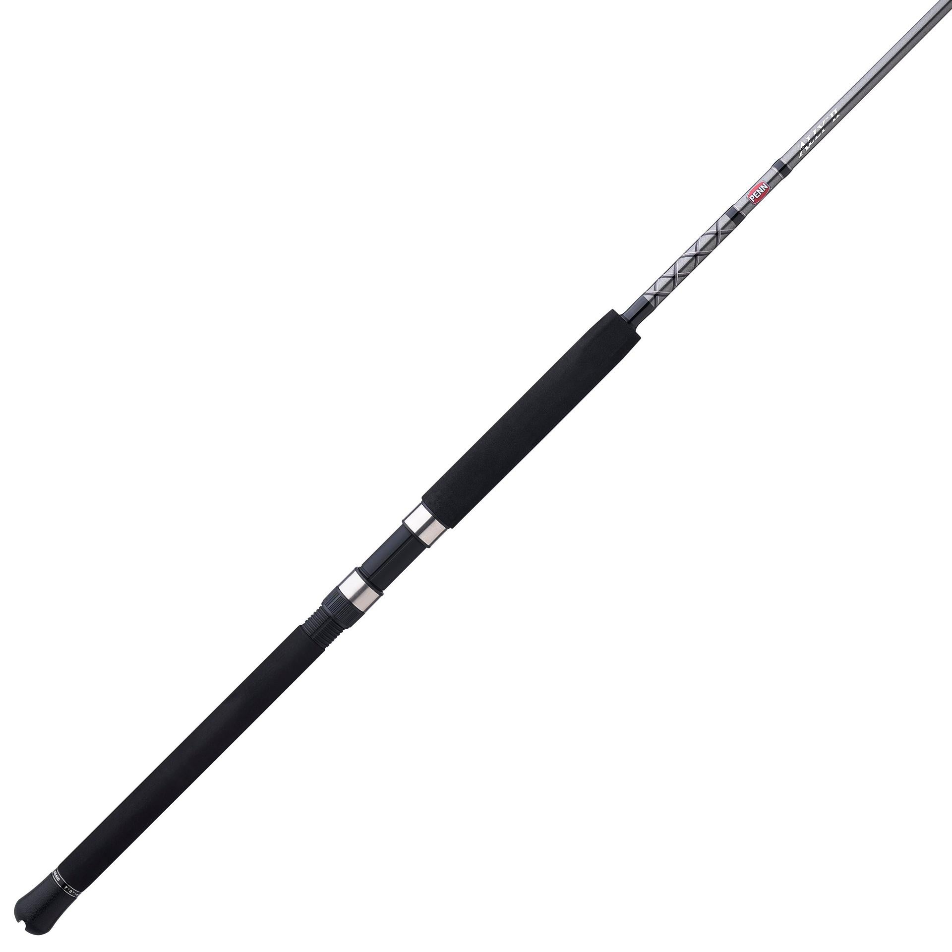 Ally™ II Spinning Boat Fishing Rod - Saltwater & Freshwater Fishing Pole for Offshore & Inshore Angling - Perfect for Deep Sea, Pier, and Kayak Fishing Adventures