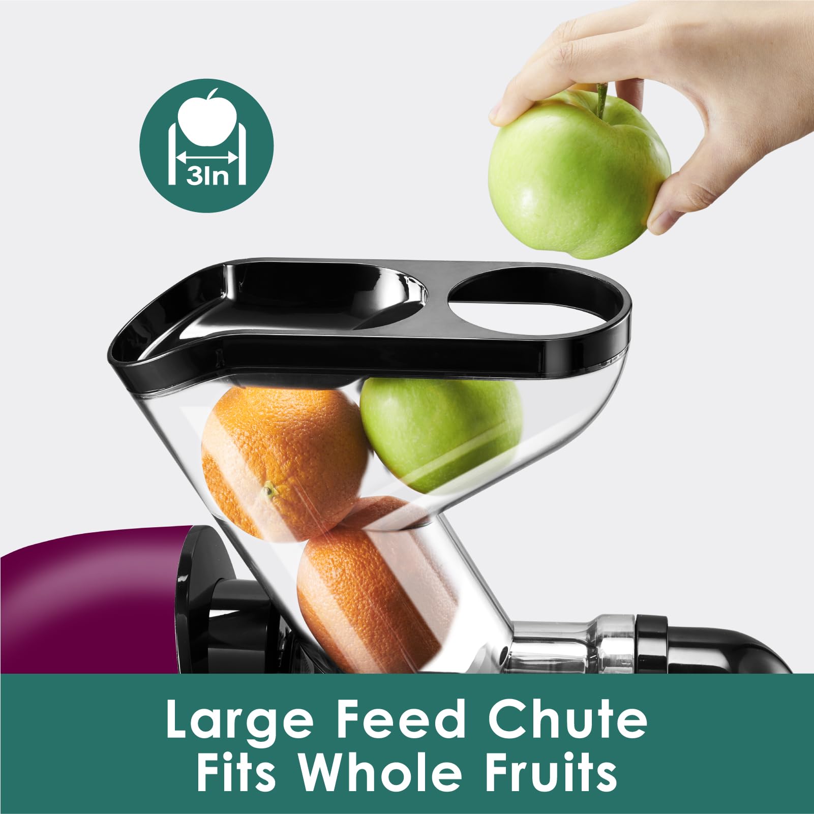Premium Cold Press Juicer Machine - Slow Masticating Juicer for Fruits & Vegetables | High Juice Yield, Nutrient & Vitamin Rich | BPA-Free, Easy to Clean (Purple) | Perfect for Healthy Smoothies, Detox Drinks & Raw Food Diets