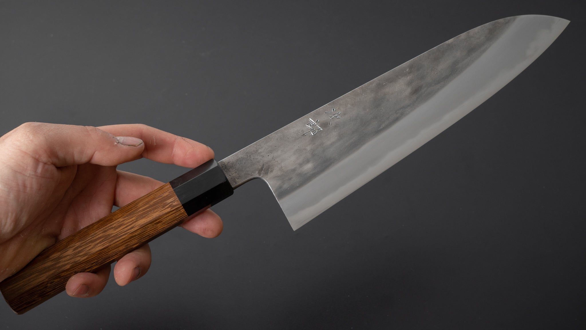 Premium Jiro Tsuchime Wa Gyuto 225mm Japanese Chef Knife with Taihei Tagayasan Handle (#371) - Perfect for Sushi, Meat Slicing & Professional Kitchen Use