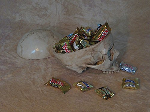 Skull Candy Dish - Premium Ceramic Candy Bowl for Halloween, Parties & Home Decor - Perfect for Candy Storage, Snacks & Treats Display