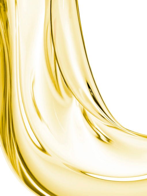 Leonor Greyl Detangling Comb for Smooth & Tangle-Free Hair - Perfect for Daily Styling, Salon Use & Travel