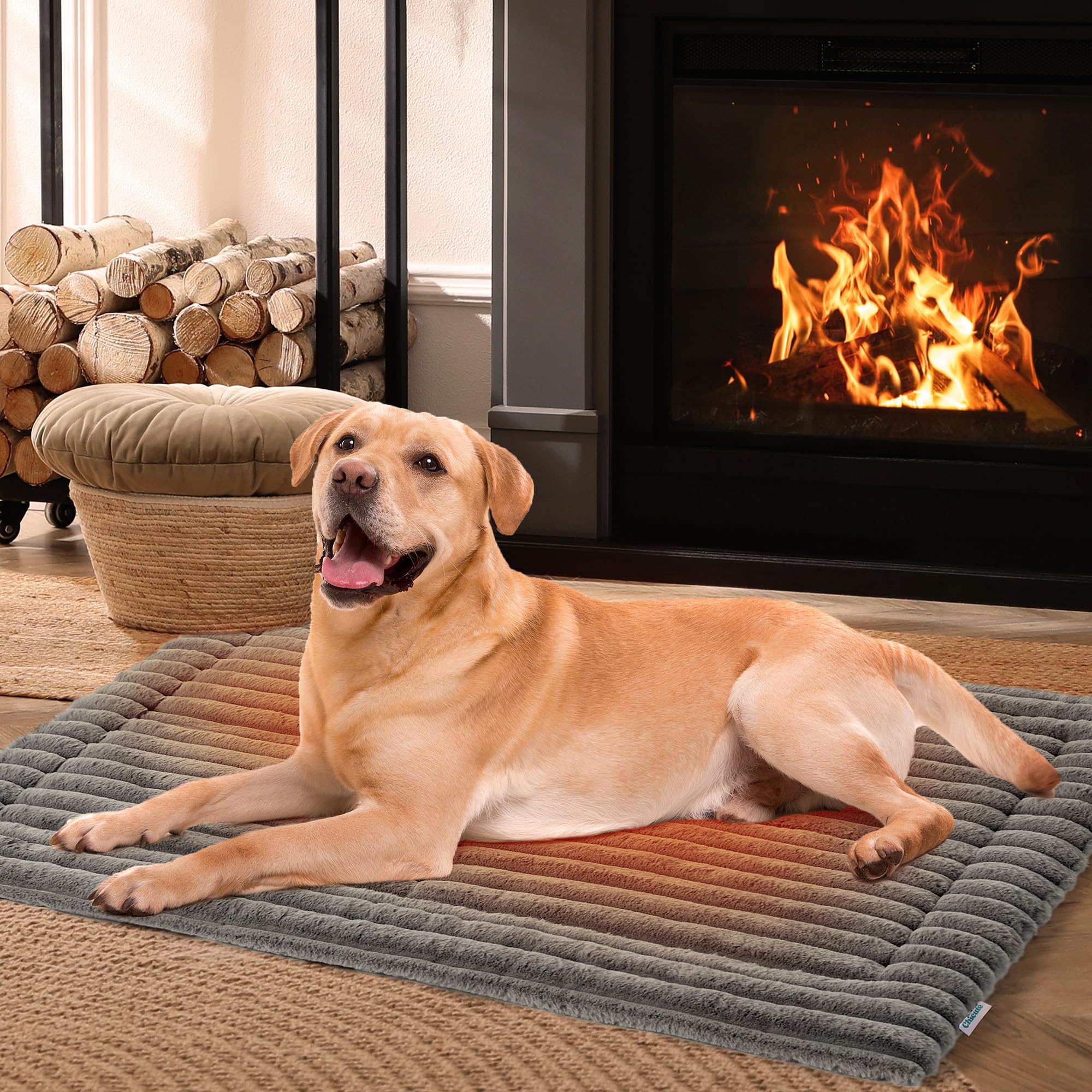 Premium Self-Warming Cat Bed for Indoor & Outdoor Use - 24