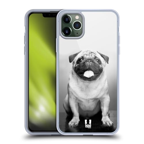 Cute Male Pug