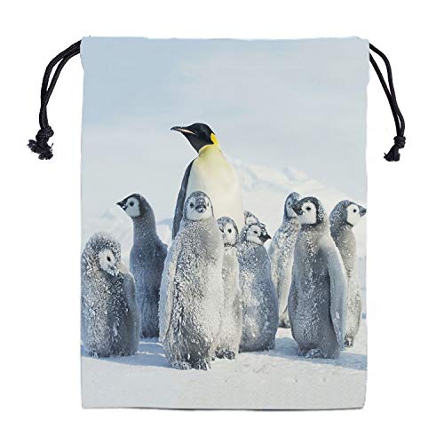 Emperor Penguin Birds