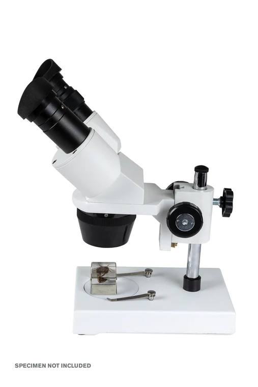 Celestron Labs S1030N Stereo Microscope 20x-40x Magnification for Kids & Adults - Perfect for Coin Collecting, Jewelry Inspection & Science Education