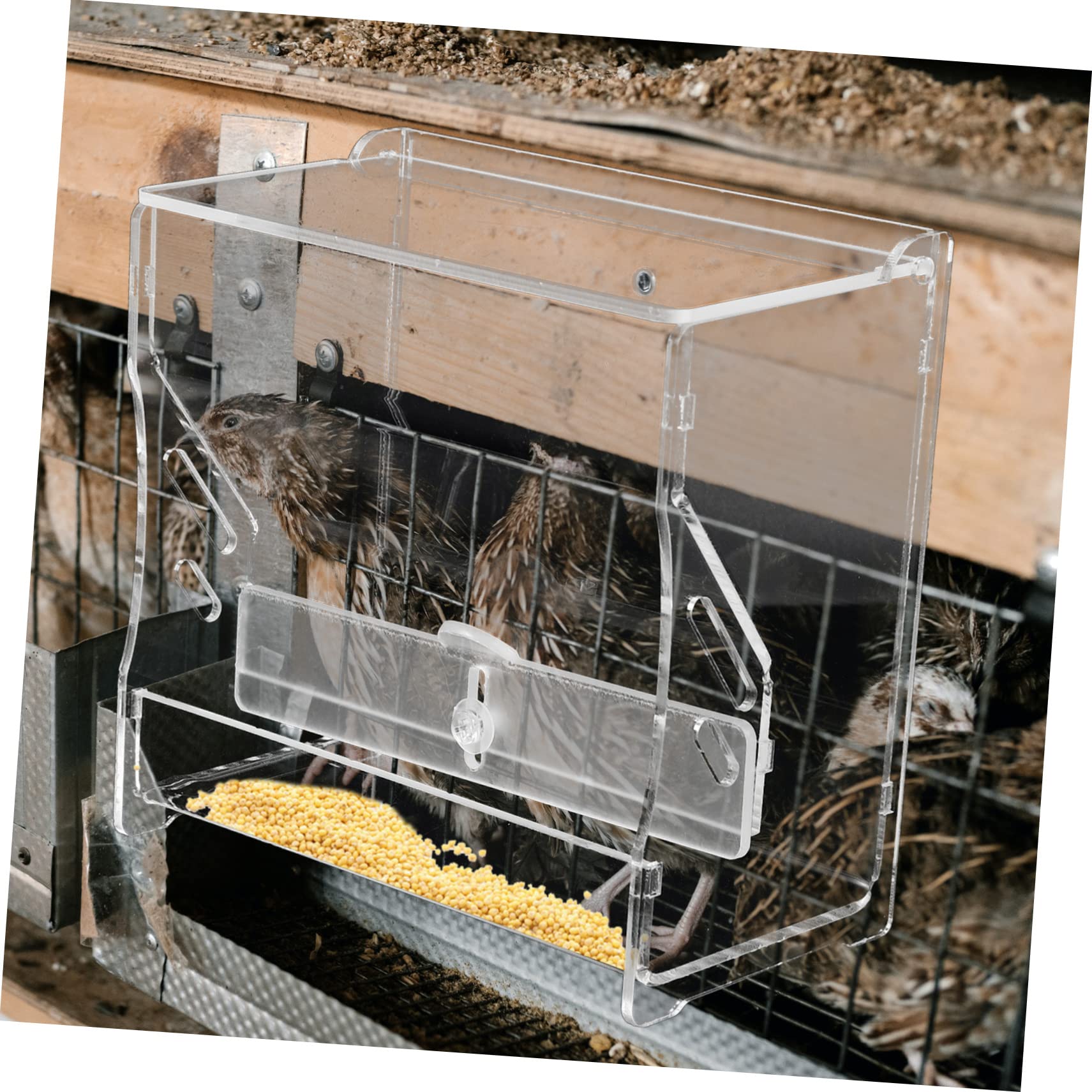 Automatic Chicken Feeder & Hanging Bird Feeder for Parrots - Durable Bird Cage Accessories, Food Storage Container for Birds - Perfect for Aviaries, Pet Cages & Outdoor Bird Feeding Stations