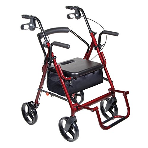 2-in-1 Transport Chair and Rollator Walker - Lightweight Aluminum Mobility Aid with Compact Foldable Design (Blue, 9.5