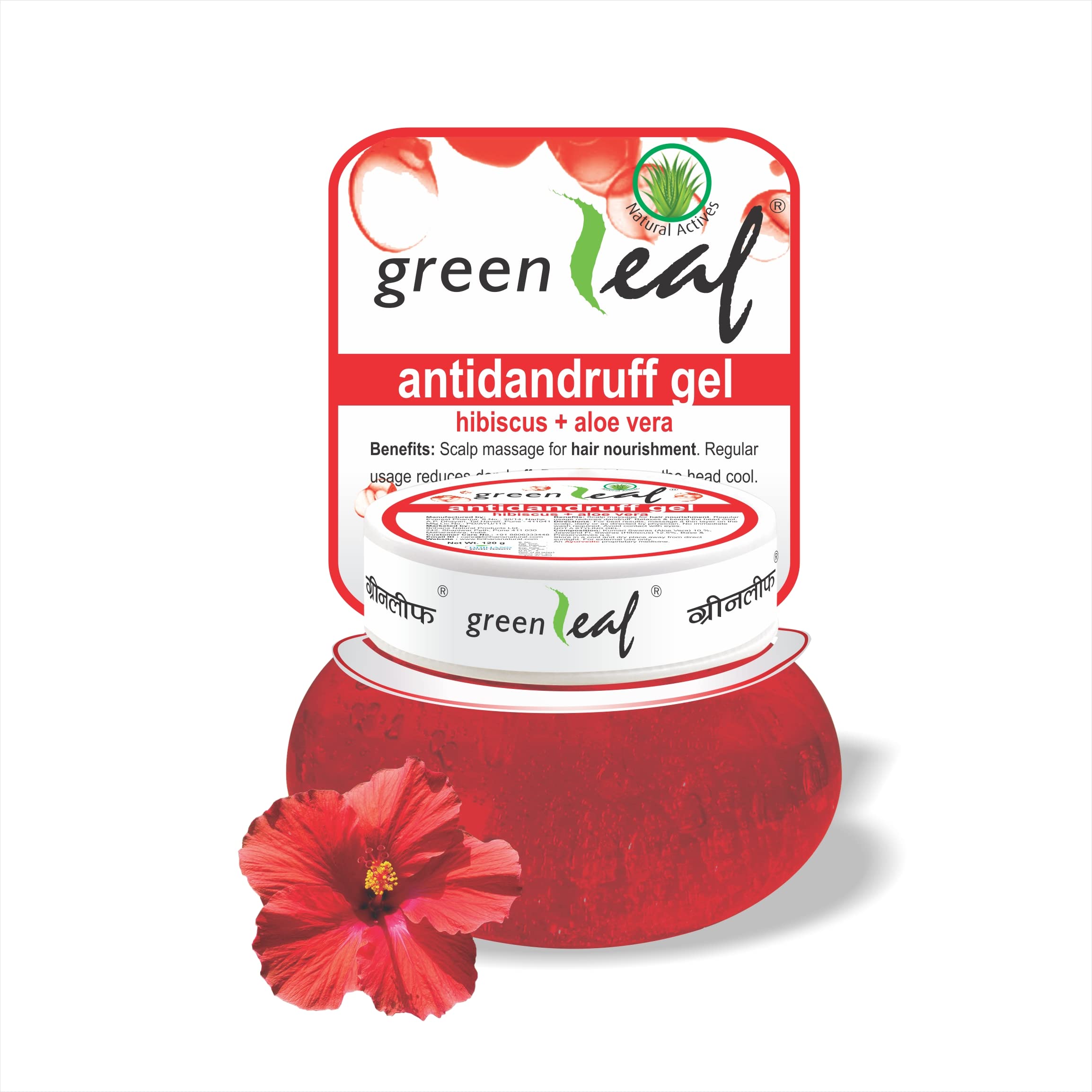Greenleaf Anti Dandruff Scalp Treatment Gel - 120g for Men & Women - Soothes Itchy Scalp & Fights Flakes - Perfect for Daily Hair Care Routine