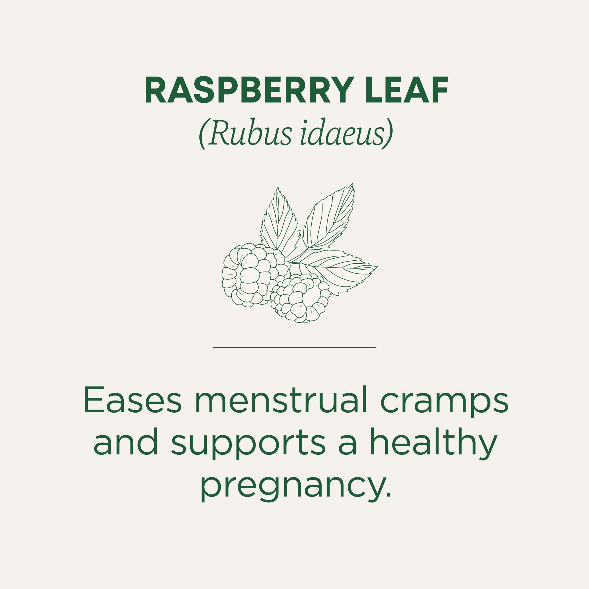 Organic Raspberry Leaf Tea for Pregnancy & Menstrual Cramps Relief - Traditional Medicinals Herbal Tea (6 Packs, 96 Tea Bags) | Supports Women's Wellness, Natural Uterine Tonic & Relaxing Beverage for Pregnancy Prep, Postpartum & PMS Comfort