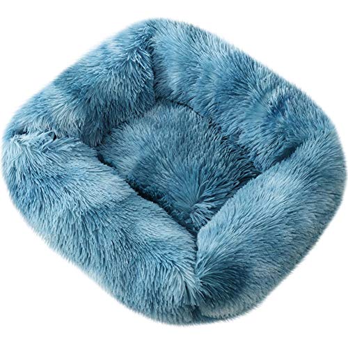 Gradient Blue