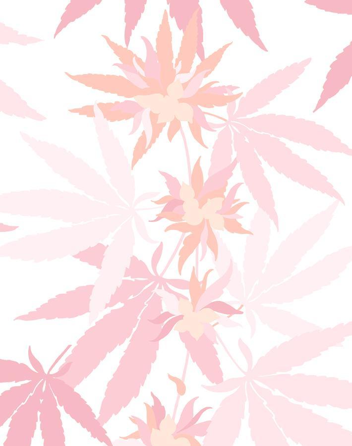 Nathan Turner 'Girls Best Friend' Blush Wallpaper - Elegant Floral Peel & Stick Wallpaper for Girls' Bedroom, Nursery, or Home Decor