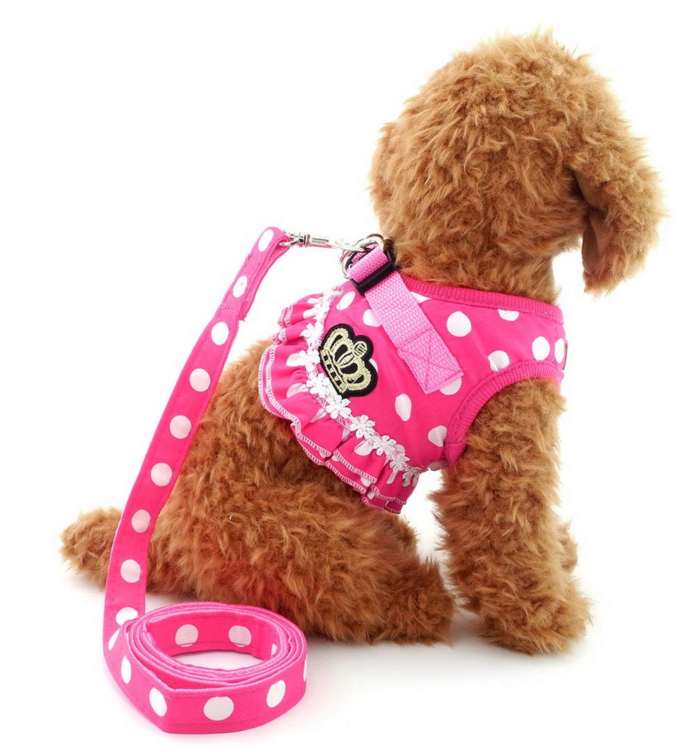 SELMAI Small Dog Harness and Leash Set - No Pull Mesh Padded Vest for Puppies & Cats - Breathable Comfort for Small Breeds (Check Size Chart) - Perfect for Walking, Training, and Outdoor Adventures