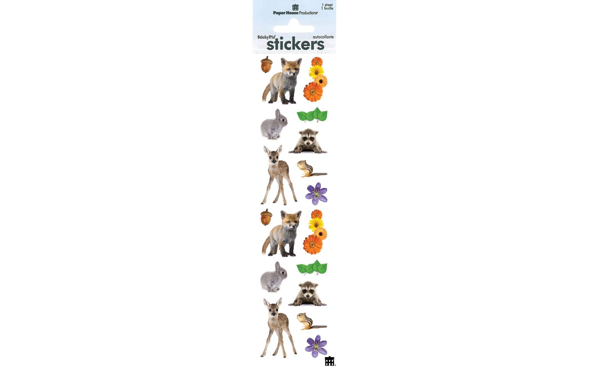 Paper House Stickers - Backyard Friends - DIY Scrapbooking, Journaling & Home Decor for Kids & Adults - Perfect for Scrapbooks, Planners, and Room Decoration