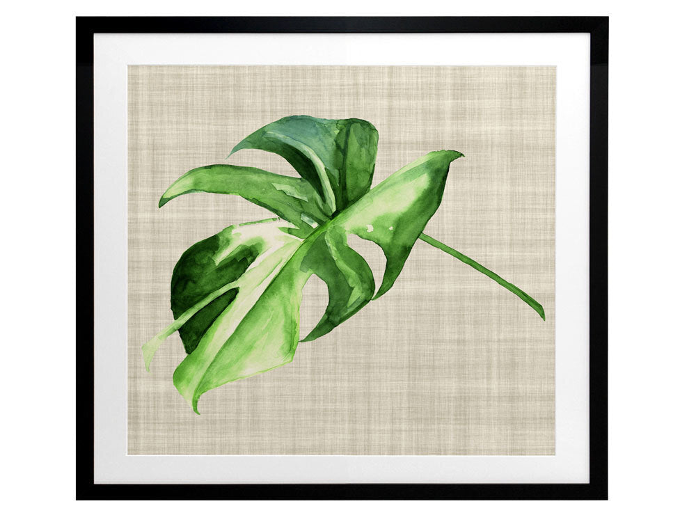 Beautiful Araceae Framed Art Print - Tropical Plant Wall Decor for Living Room, Bedroom & Office - Perfect for Home & Office Decor