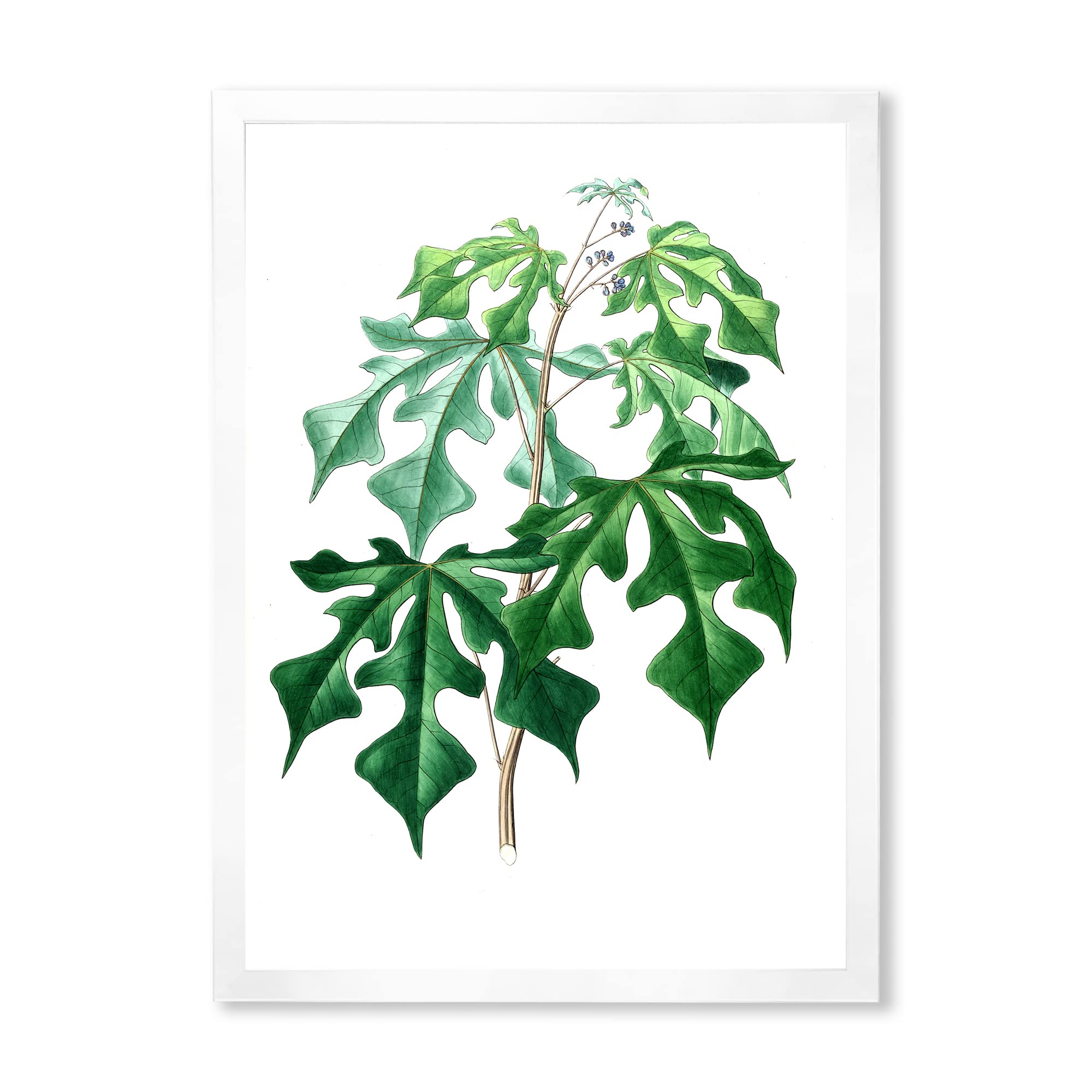 Vintage Green Leaves Plants II Traditional Framed Wall Art - Botanical Home Decor for Living Room, Bedroom & Office | Ready to Hang Canvas Painting