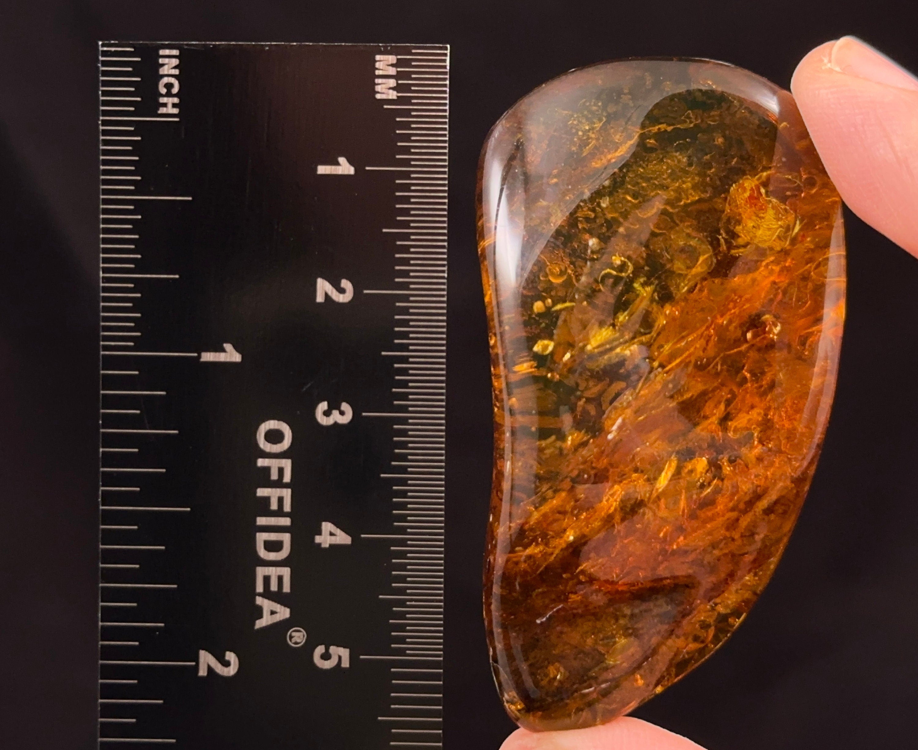 AMBER Stone with Real Insect Fossil - Polished Tumbled Stones & Healing Crystals for Jewelry Making, Meditation & Home Decor (52725)