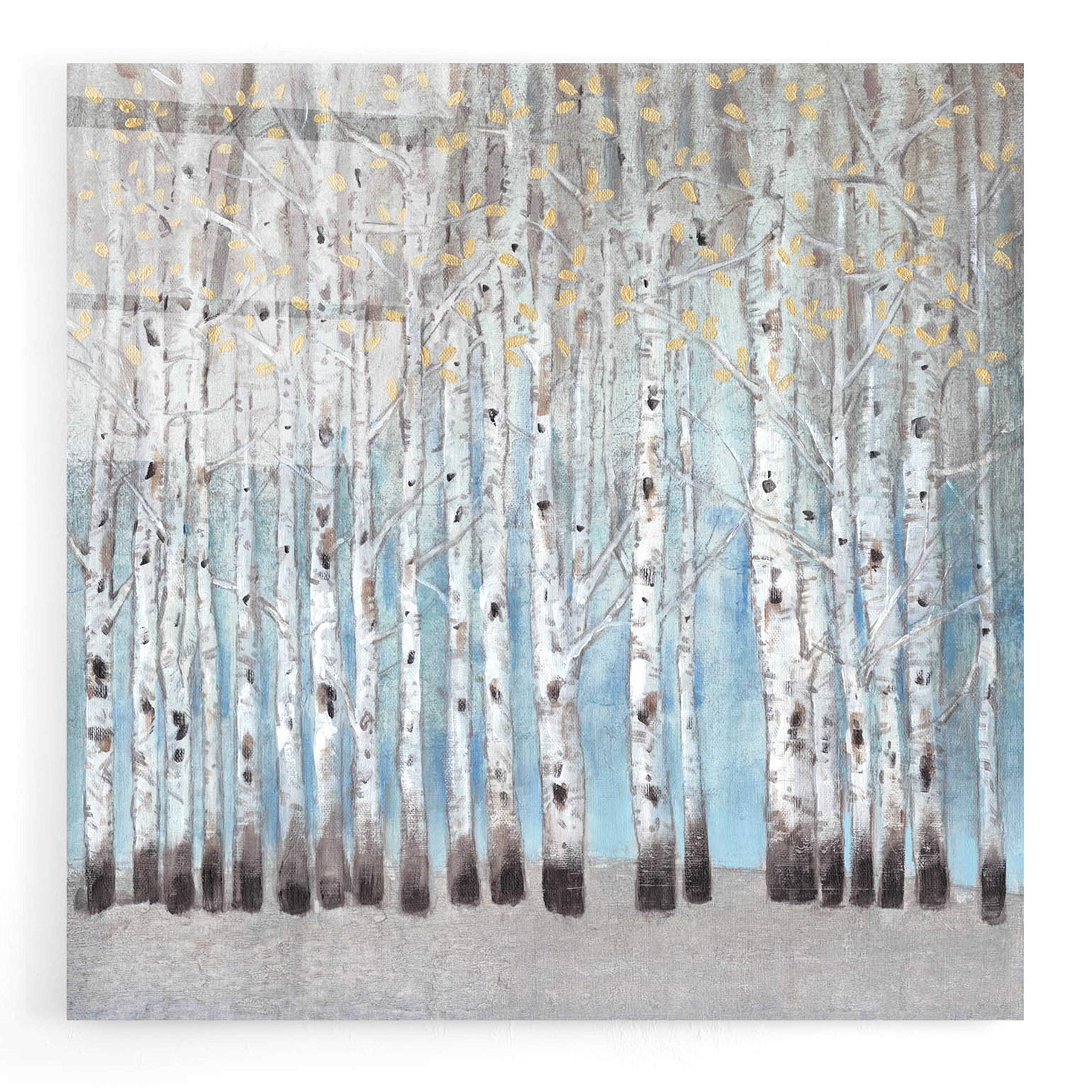 Tim O'Toole 'Into The Forest I' Acrylic Glass Wall Art - 24x24 Inch Modern Abstract Painting - Perfect for Living Room, Bedroom & Office Decor