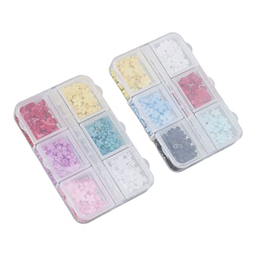 DIY Nail Art Decoration Kit - 2 Boxes of Assorted Size Flower Nail Charms for Professional & Home Manicures - Perfect for Beauty Salons, Nail Artists & DIY Enthusiasts