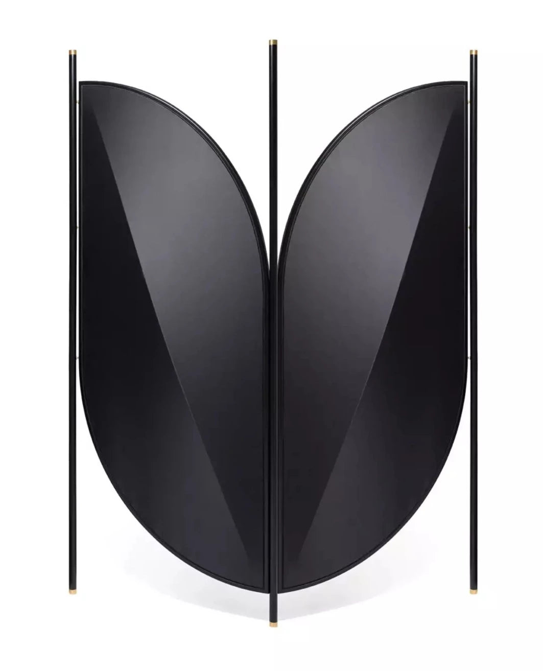 GTV Feng 2-Panel Room Divider - Decorative Folding Privacy Screen for Home, Office & Events | Perfect for Room Separation, Wedding Backdrop & Photo Booth