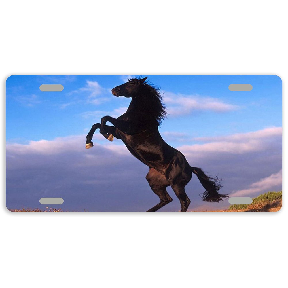 Black Horse Metal Car License Plate Cover - 12 x 6 Inches with 4 Holes | Durable Auto Tag for Vehicles, Trucks & SUVs | Perfect for Customization, Car Shows & Personalization