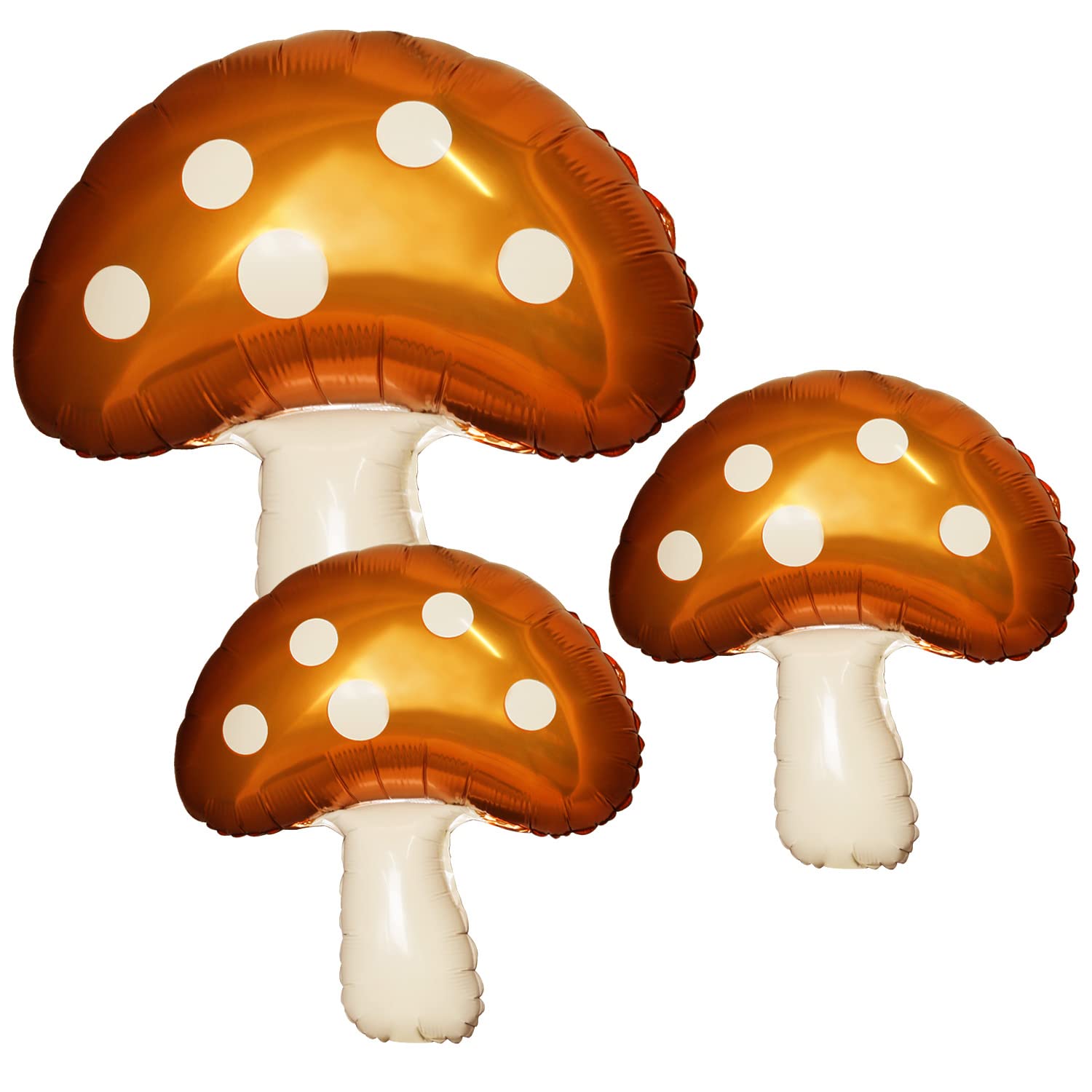 31
