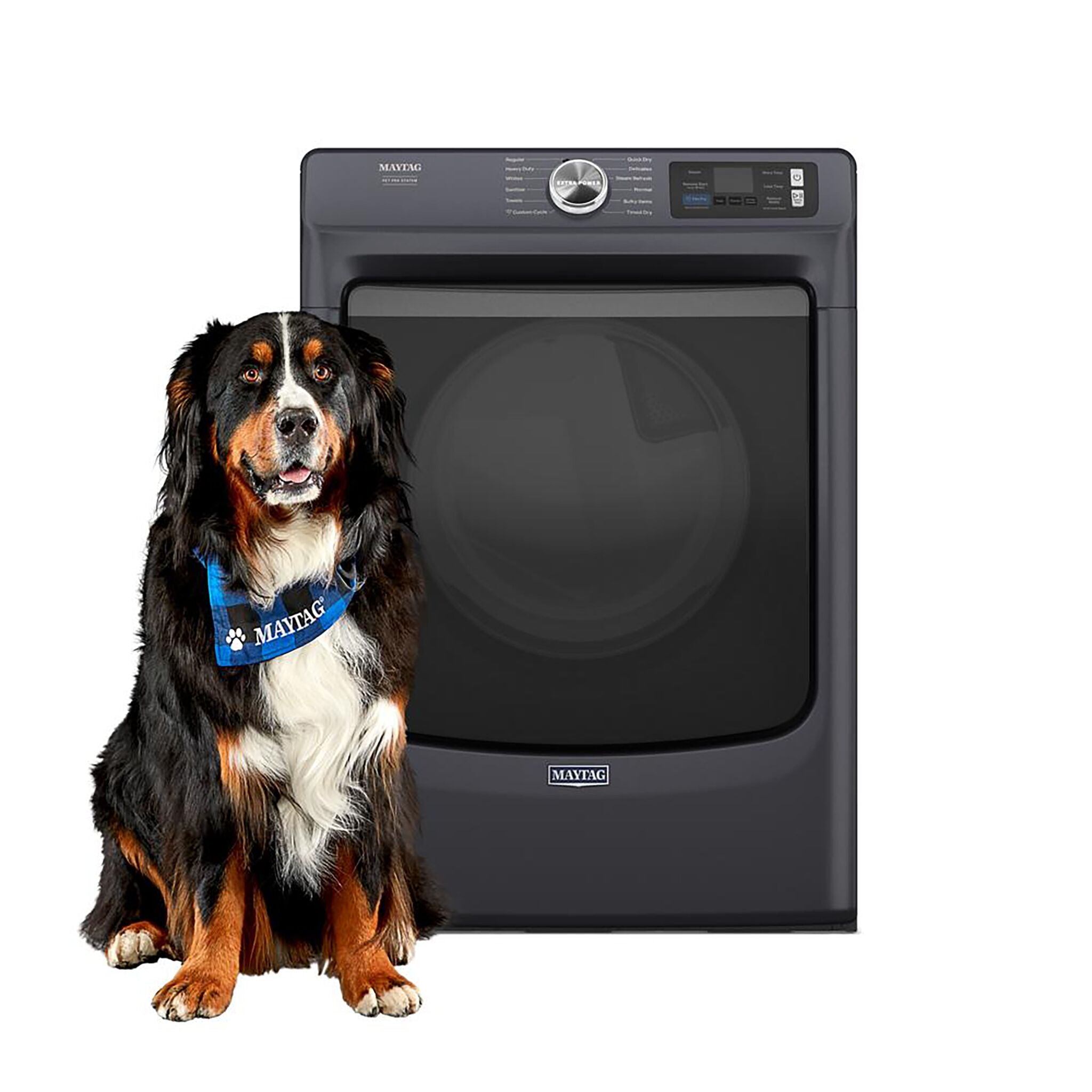 Maytag MGD7020RF 7.4 Cu.Ft. Large Capacity Gas Dryer in Midnight Steel - Pet Pro System for Pet Hair Removal - Perfect for Family Laundry & Pet Owners
