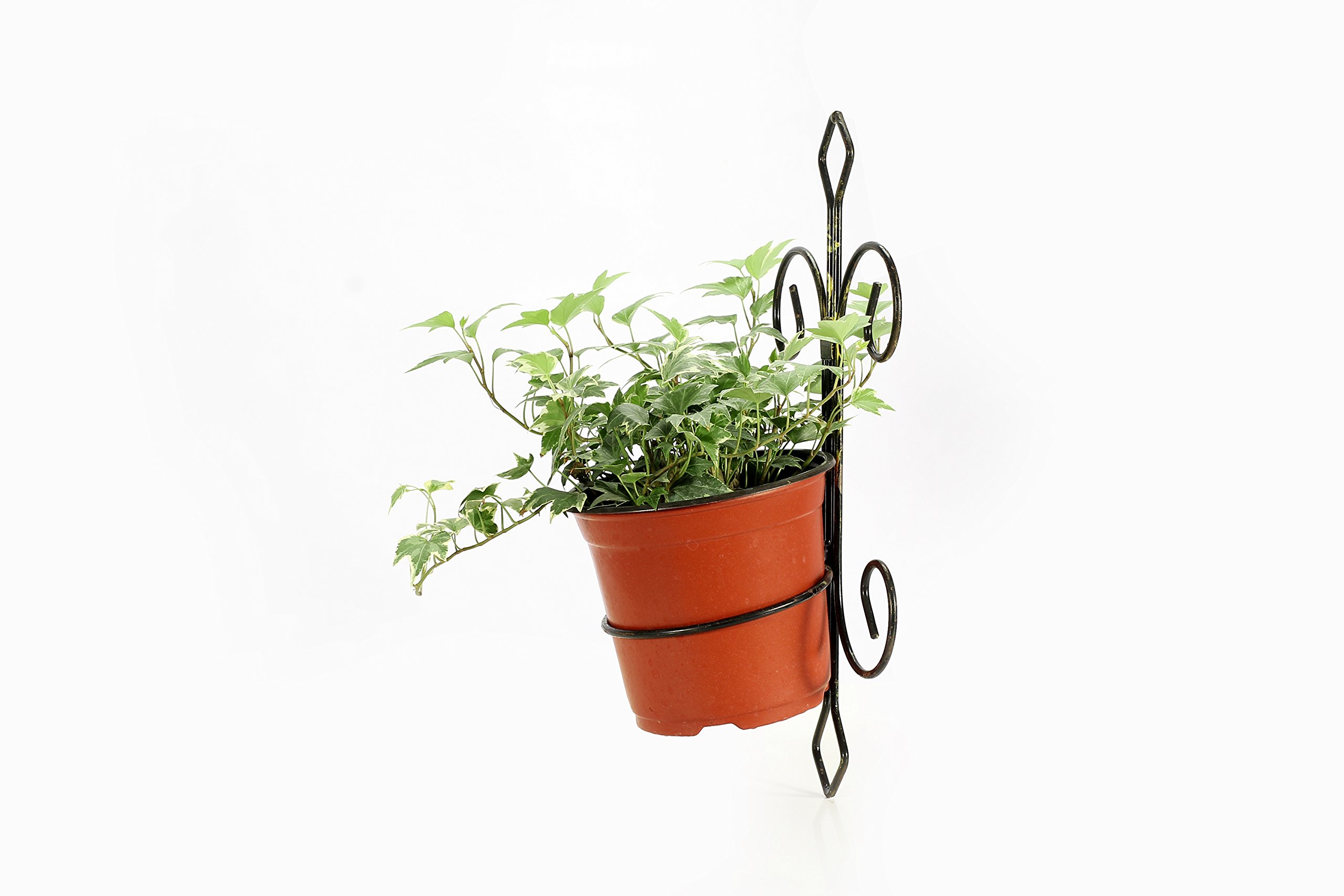 Ore International LB-1717 Hanging Wall Planter - Black & Gold Modern Decorative Flower Pot for Indoor/Outdoor Plants | Perfect for Home, Garden, Patio, and Balcony Decor