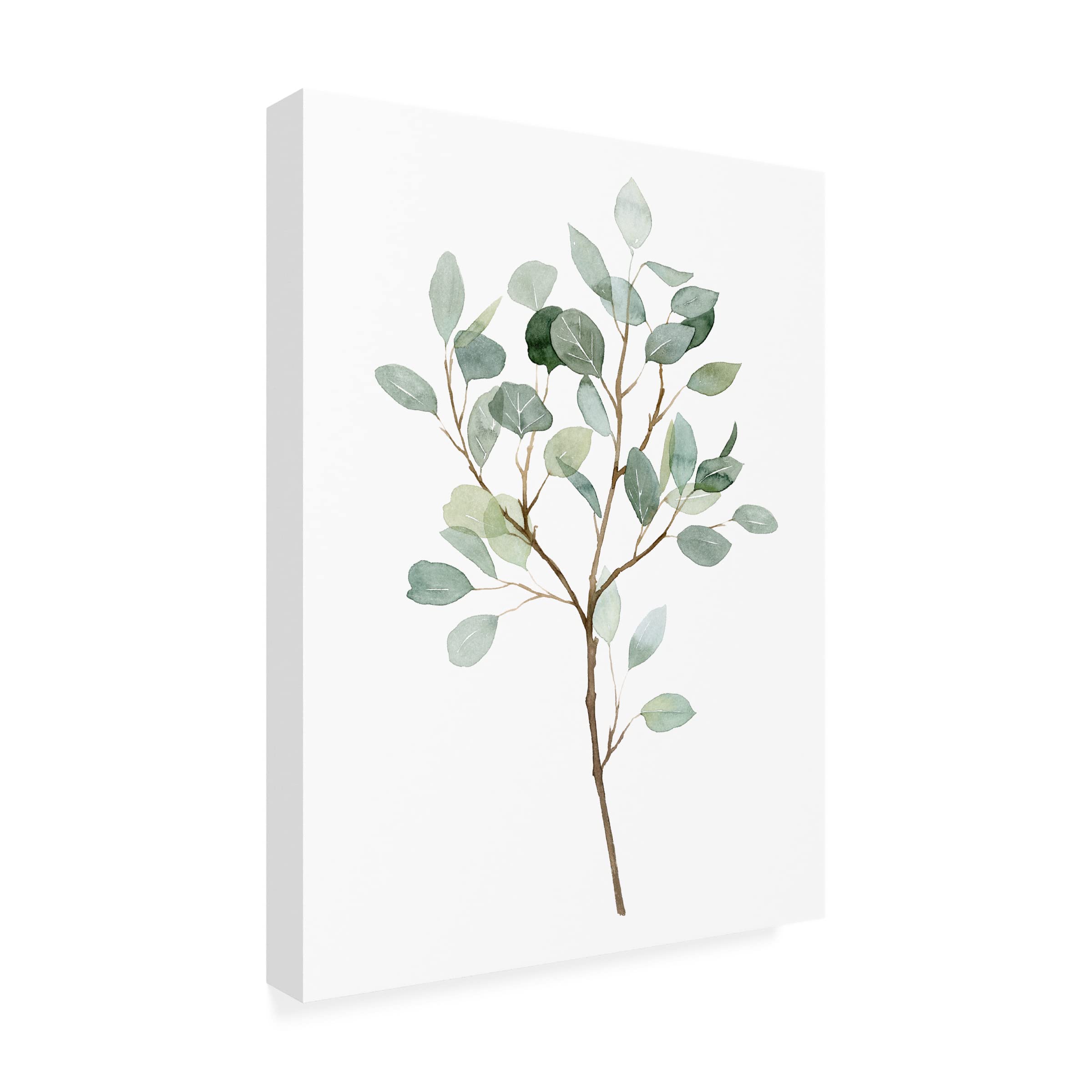 Grace Popp 'Seaglass Eucalyptus II' Canvas Wall Art Print - Coastal Home Decor for Living Room, Bedroom & Office - Trademark Fine Art Collection