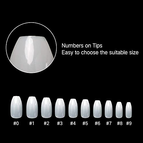Belicia Short Coffin Shape Acrylic Nails 200Pcs - Clear Natural Full Cover Fake Nails with Storage Box for Nail Salon & DIY Manicure | Perfect for Weddings, Parties & Everyday Wear