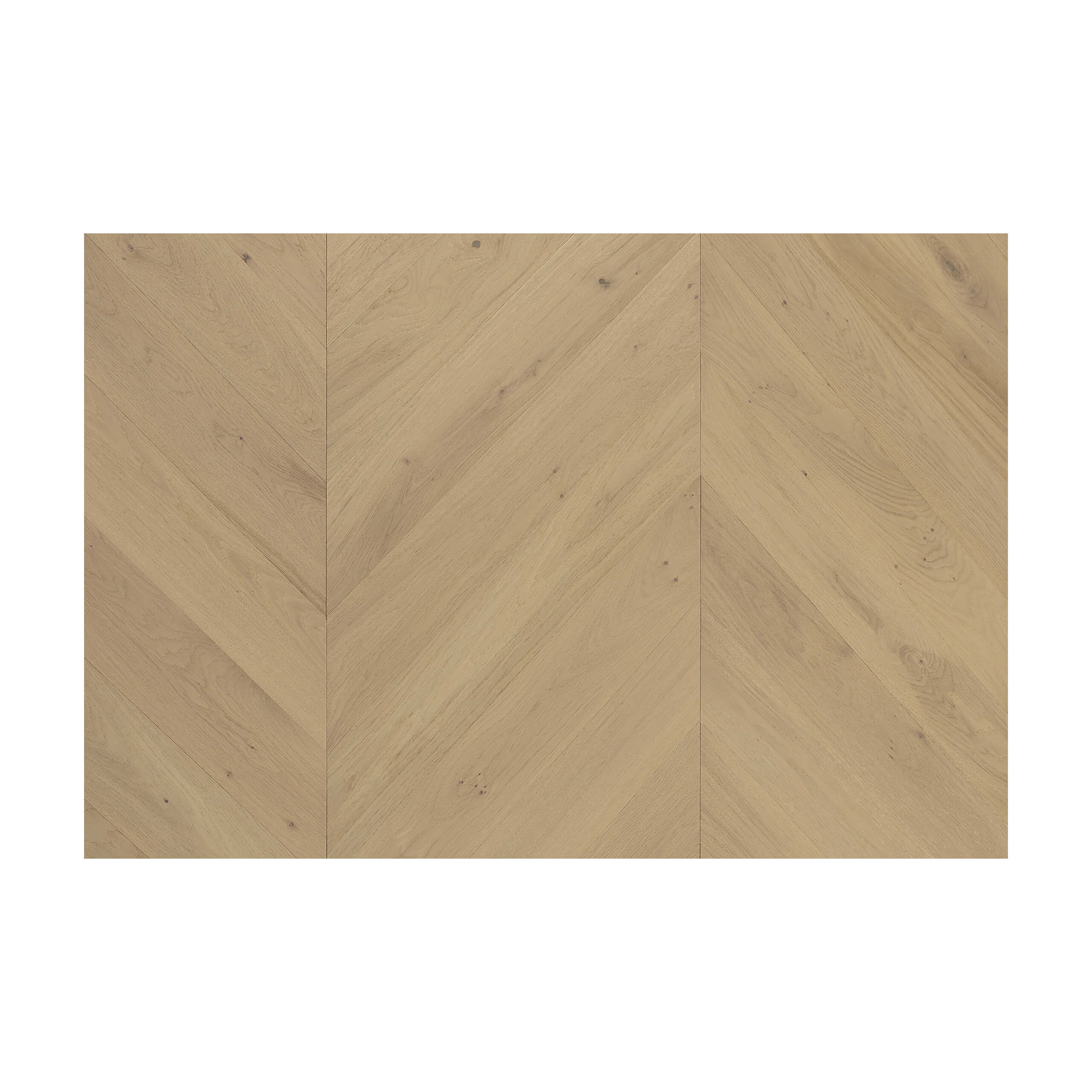 Cavallo Bianco Chevron Collection 780x125x14/3mm Champagne Hardwood Flooring - Perfect for Living Room, Bedroom & Office Decoration