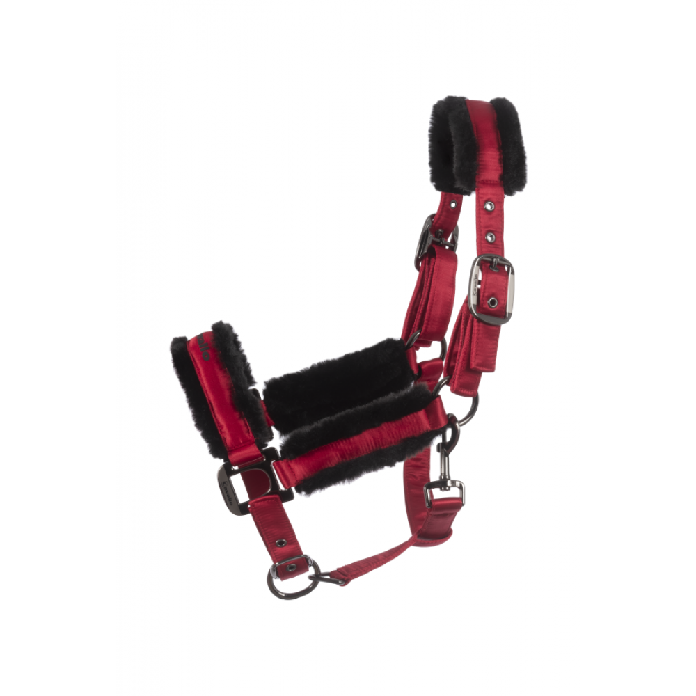 Cavallo Jero Halter - Premium Horse Riding Halter for Training & Show | Durable & Comfortable for Equestrian Sports & Daily Use