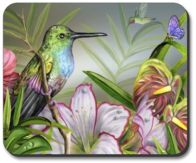 Hummingbird at Rest Art Plates Mouse Pad - Non-Slip Desk Mat for Computer, Gaming & Office Use - Perfect Gift for Home & Work