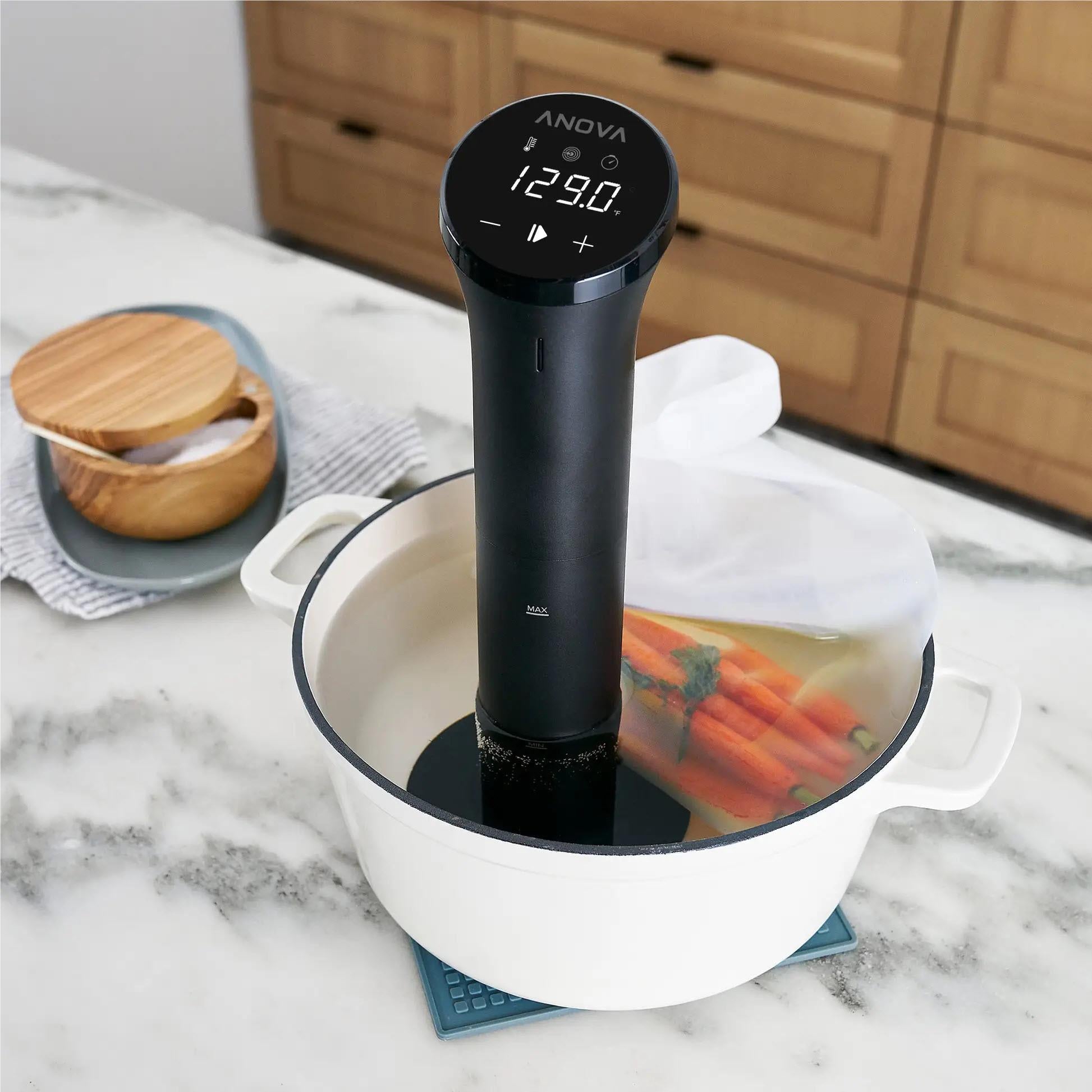 Anova Precision Cooker Nano Base - Sous Vide Immersion Circulator for Home Cooking | Perfect for Steak, Chicken, Fish & Vegetables