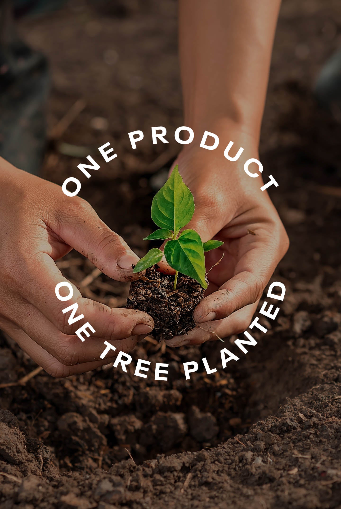 One Tree Planted - Eco-Friendly Tree Planting Gift for Environmental Conservation | Perfect for Earth Day, Corporate Gifts & Sustainable Lifestyle