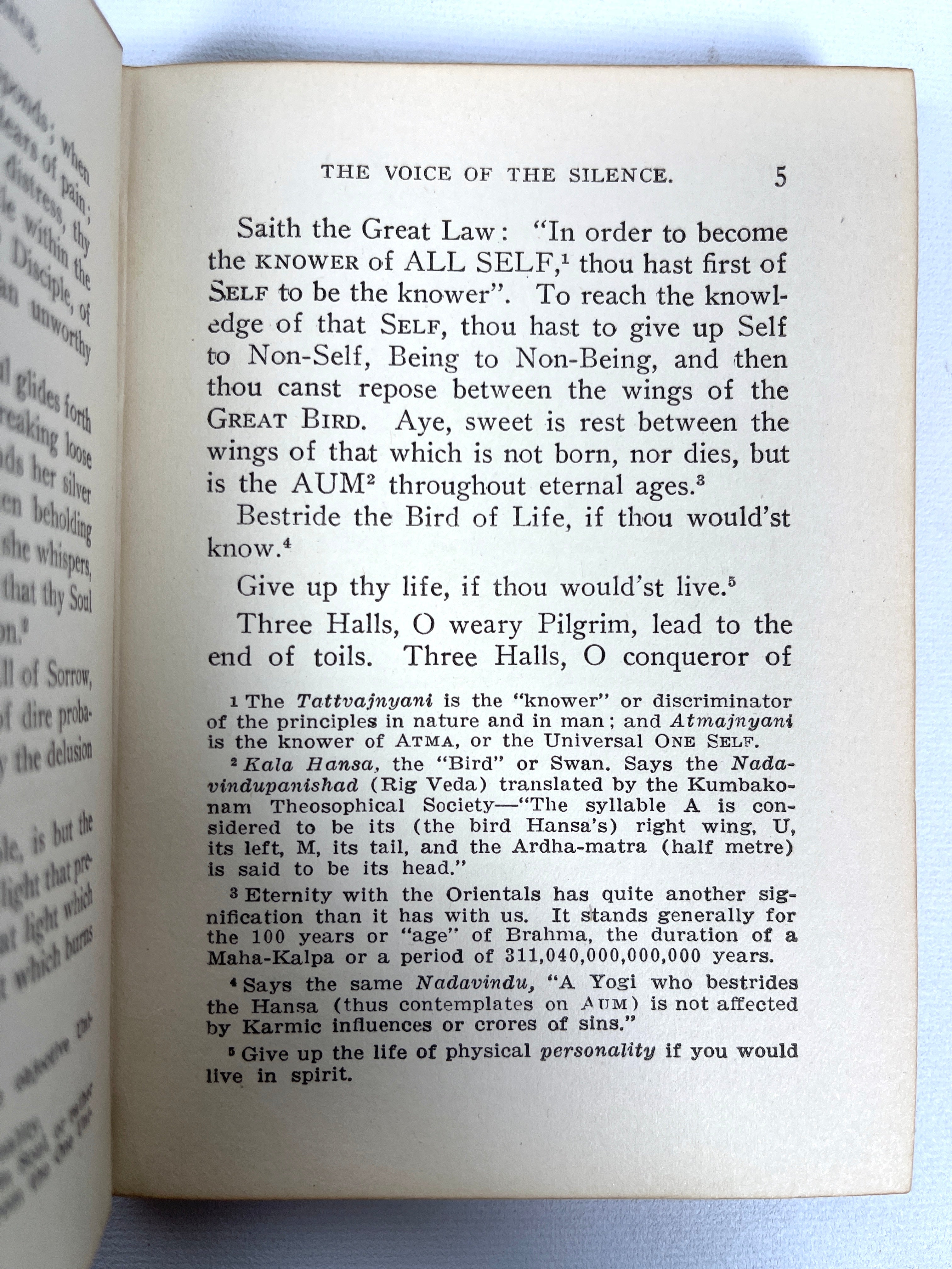 The Voice of the Silence by Helena P. Blavatsky - 1920 Hardcover Edition | United Lodge of Theosophists | Rare Spiritual Book for Meditation & Theosophy Studies